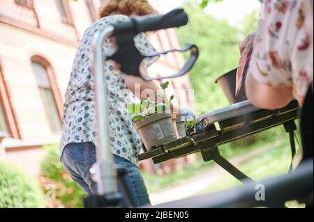 Berlin, Allemagne. 10th mai 2022. Deux patients plantent des semis dans la « salle de traitement verte » de l'hôpital protestant Queen Elisabeth Herzberge. M. Kratz, un spécialiste en psychiatrie gérontologique, a expliqué au préalable comment la thérapie de jardin peut aider à la démence et à la dépression. (À dpa 'la cueillette, le désherbage, la plantation: la thérapie de jardin sans médicament') Credit: Annette Riedl/dpa/Alay Live News Banque D'Images