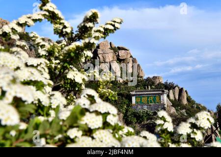 (220606) -- JINAN, 6 juin 2022 (Xinhua) -- photo prise sur 26 mai 2022 montre la sennerie du mont Taishan dans la province de Shandong en Chine orientale. Vaste et impressionnante masse de rochers s'élevant à plus de 1 500 mètres, où les ponts, les passerelles ou les pavillons gracieux contrastent avec les forêts de pins ou les falaises rocheuses, le mont Taishan est considéré comme l'un des plus beaux endroits pittoresques de la Chine et symbolise les civilisations et les croyances chinoises anciennes. Situé dans la province orientale de Shandong, le mont Taishan abrite plus de 18 000 arbres anciens et précieux, ainsi que plus de 300 espèces d'oiseaux sauvages. En tant que f Banque D'Images