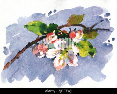 Illustration d'aquarelle de fleurs. Bouquet délicat. Peinture d'images pour la conception d'affiches, de cartes, d'invitations pour l'impression sur toile Banque D'Images