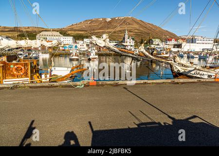 Dans le port de Húsavík sont amarrés de nombreux voiliers en bois historiques Banque D'Images