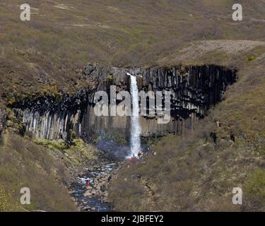 Cascade de Svartifoss Islande Banque D'Images
