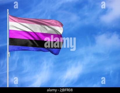 Drapeau national de Genderfluid sur un mât Banque D'Images