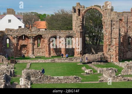 Prieuré de Lindisfarne, vue au printemps de la structure en ruines du Prieuré de Lindisfarne montrant la Arc-en-ciel caractéristique qui autrefois a soutenu une tour, Royaume-Uni Banque D'Images