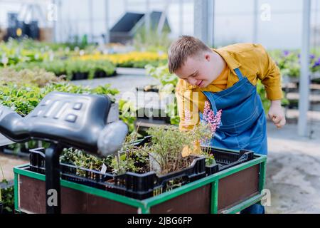 Jeune employé heureux avec le syndrome de Down travaillant dans le centre de jardin, prenant soin des fleurs. Banque D'Images