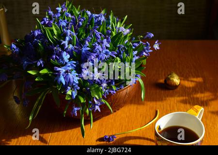 Bouquet de gouttes de neige dans un vase en céramique sur une table en bois à la lumière du soleil Banque D'Images