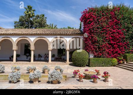 Palacio de Viana Cordoba. Palais Renaissance avec cour tranquille et jardin formel. Banque D'Images