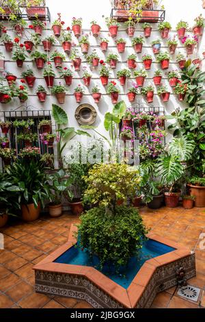 Le Festival des cours de Cordoue. De nombreuses maisons du centre historique ouvrent leurs patios privés au public et participent à un concours. Banque D'Images