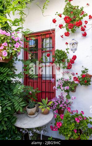 Le Festival des cours de Cordoue. De nombreuses maisons du centre historique ouvrent leurs patios privés au public et participent à un concours. Banque D'Images