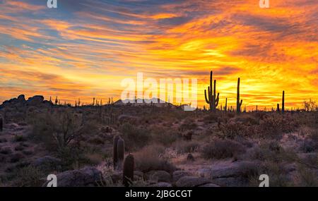 Sonoran Desert Sunrise Landscape & Skies à Scottsdale, Arizona Banque D'Images