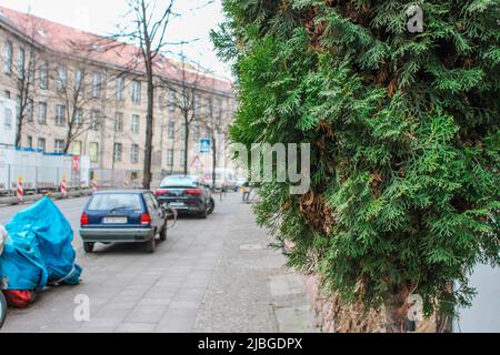 Le paysage urbain de la banlieue de Berlin, en Allemagne. Le gros plan de l'arbre dans un fond flou de la rue dans un ciel nuageux avec une atmosphère étrange. Banque D'Images