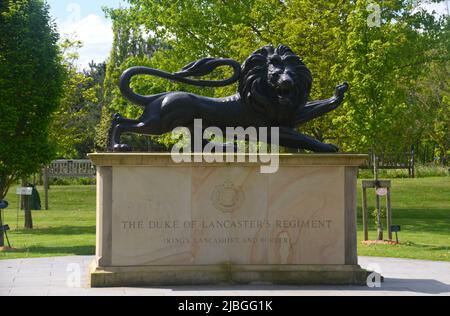 Monument commémoratif de la statue de bronze du lion d'Angleterre au Duke of Lancaster's Regiment à l'arboretum du mémorial national, Staffordshire, Angleterre, Royaume-Uni Banque D'Images