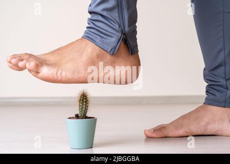 Gros plan photo de moment pied marcher sur la plante de cactus comme un symbole des problèmes communs de pied humain. Banque D'Images