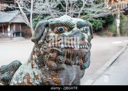 L'image de l'ancienne statue de Komainu (chien de garde en forme de lion) avec de la mousse dans le vieux sanctuaire, Japon. Banque D'Images