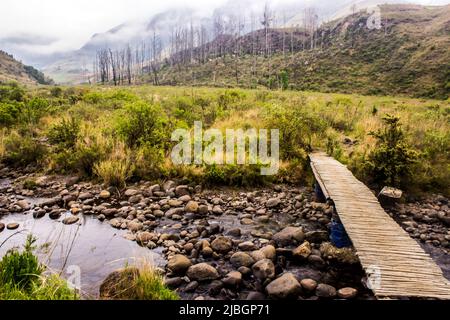 Vue en début de matinée d'un petit pont traversant la fourche de Cowl dans les montagnes de Drakensberg, avec les falaises en arrière-plan enveloppées de brouillard Banque D'Images