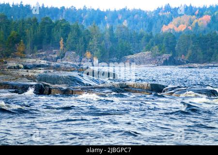 Bouclier cristallin Baltique, esker. Paysage glacié (chaînage glaciaire). cape en pierre, roche de berger avec petit bouleau d'automne, pins nains en LAD du Nord Banque D'Images