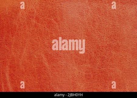 Gros plan sur la texture du cuir marron, l'arrière-plan et l'espace de copie Banque D'Images