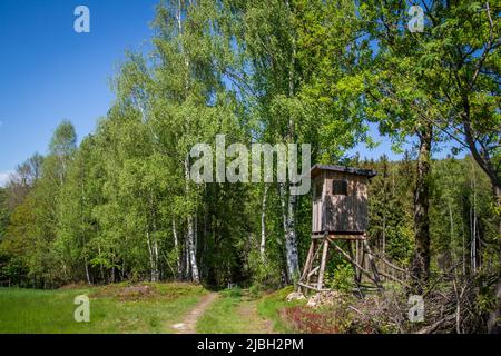 Erlebnisweg Heinrichs, un sentier de randonnée dans le Waldviertel - stand de cerfs Banque D'Images