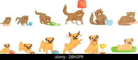 Croissance Animale Petit Chaton Animaux En Phase De Croissance Animaux De Compagnie Ages Et Jeunes Adorables Personnages Isoles De Dessins Animes De Chats Et De Chiens Mignon Chiot Developper Decent Image Vectorielle Stock Alamy