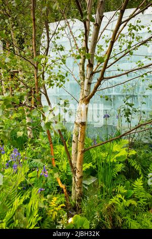Le Plantman’s Ice Garden, un jardin sanctuaire conçu par John Warland et doté de blocs de glace entourés d’Iris sibirica, de fougères et de Betula. Banque D'Images