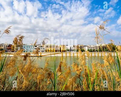 Maisons colorées du quartier de Triana sur le fleuve Guadalquivir - Séville, Espagne Banque D'Images