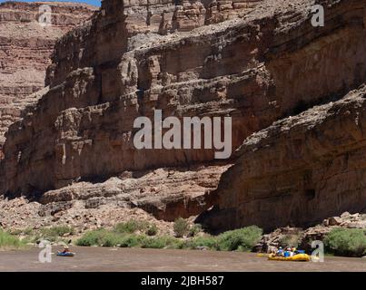 Les explorateurs et les touristes naviguent sur leurs bateaux, radeaux, planches à rames et kayaks dans les canyons arides le long de la rivière San Juan dans le sud-ouest de l'Utah. Banque D'Images