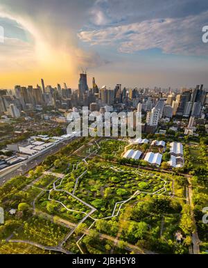 Benjakitti Park ou Benchakitti Forest Park nouveau design Walkway dans le centre de Bangkok, Thaïlande Banque D'Images