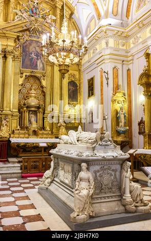 Real Colegio de Doncellas Nobles. Tolède, Castilla la Mancha, Espagne. Banque D'Images