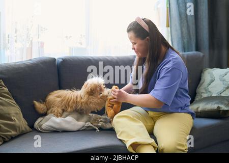 Jeune femme brune tenue décontractée tenant un jouet tout en étant assise sur un canapé et en jouant avec un chien d'animal de compagnie à votre guise dans la salle de séjour Banque D'Images