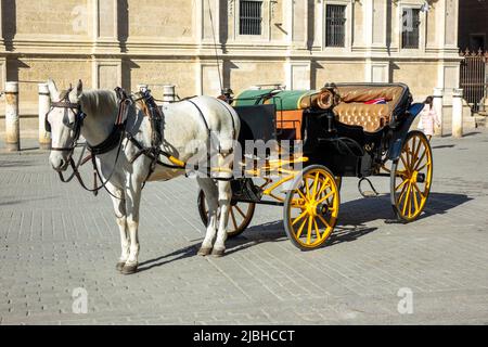 Cheval et calèche à Séville Espagne offrant des manèges aux touristes et aux visiteurs Tours de Séville Single White Horse et Volante, Banque D'Images