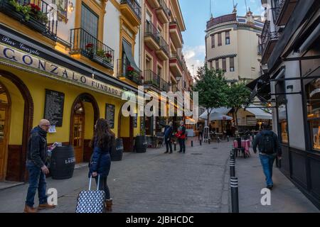 Restaurants et bars sur la Calle Alemanes 21 Séville Espagne dans le bar en début de soirée Gonzalo Banque D'Images