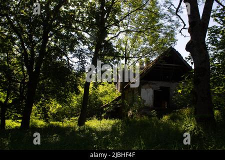 Manoir en bois abandonné perdu dans les bois Banque D'Images