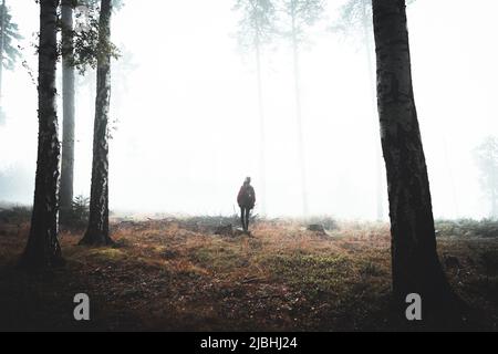 Une femme se tient dans une forêt humide et brumeuse. République tchèque, Suisse de Bohême Banque D'Images