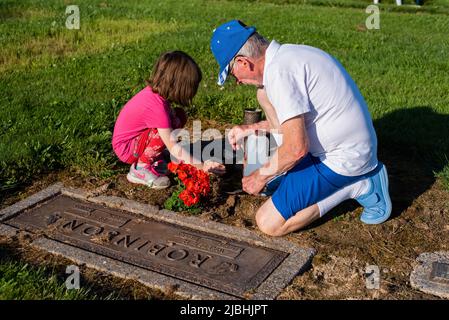 Un homme et sa petite-fille décorent une pierre tombale dans un cimetière le jour du souvenir. Banque D'Images