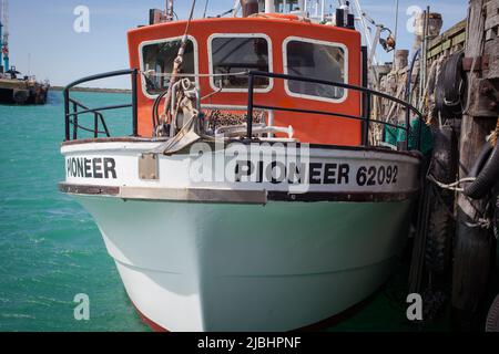 Bateaux de pêche commerciale côtiers : petits chalutiers et bateaux à filet fixe. Timaru Wharf, Île du Sud, Nouvelle-Zélande. Banque D'Images