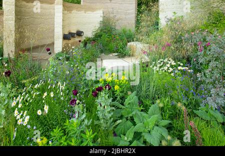 Murs en argile courbés avec des sièges en blocs coupés de pierre de Purbeck entouré par des plantes vivaces herbacées et des arbres dans le jardin Mind conçu par Andy Sturgeon. Banque D'Images