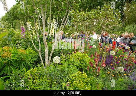 Visiteurs du salon des fleurs de Chelsea autour des plantes et des arbres dans le jardin RHS. Banque D'Images