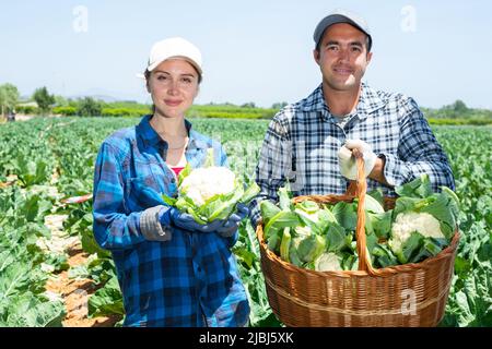 Portrait de jardiniers avec panier en osier de choux-fleurs Banque D'Images