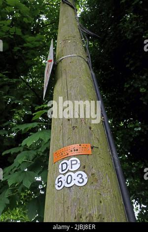 BT Openreach Telegraph Pole, Cliff LN, Grappenhall, Warrington, Cheshire, Angleterre, Royaume-Uni, WA4 2TS - numéros d'identification pour identifier l'équipement et l'entretien Banque D'Images