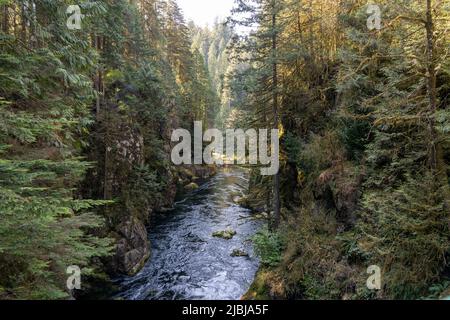 Parc régional de la rivière Capilano. North Vancouver, C.-B., Canada. Banque D'Images