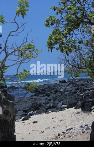 Vue sur la coulée de lave noire à Kona, Hawaii USA Banque D'Images