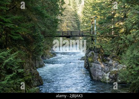 Pont de piscine par câble. Parc régional de la rivière Capilano. North Vancouver, C.-B., Canada. Banque D'Images