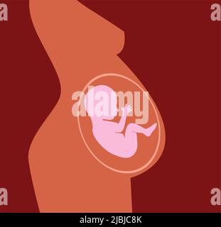 Femme enceinte de près du ventre avec un bébé à l'intérieur, image conceptuelle de la maternité, illustration vectorielle plate Illustration de Vecteur