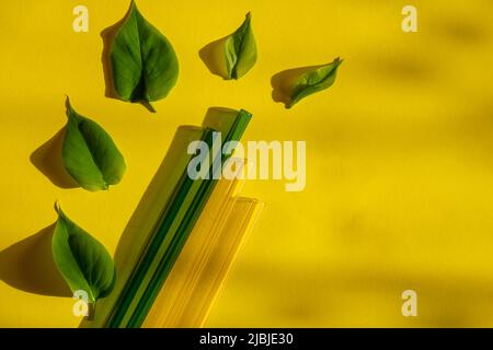 Pailles en verre réutilisables sur fond coloré avec feuilles vertes ensemble de pailles écologiques paille à boire réutilisable à bout rond et confortable paille à boire. Concept sans déchets, sans plastique. Style de vie durable. Concept pique-nique Banque D'Images