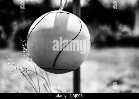 Tetherball assis libre à côté du poteau dans une arrière-cour. Banque D'Images