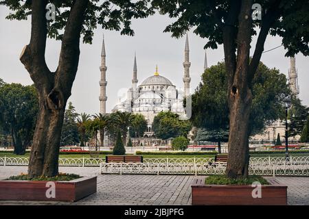 Hagia Sophia Ayasofya célèbre point de vue depuis le parc du Sultan Ahmet avec arbre vert à Istanbul, Turquie. Banque D'Images