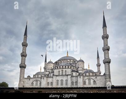 Sainte-Sophie Ayasofya célèbre dans un ciel nuageux avec oiseau de mouette à Istanbul, Turquie. Banque D'Images