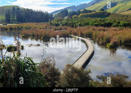 Une promenade traversant un lac humide dans le parc régional de Pekapeka, une réserve naturelle de la région de Hawke's Bay, en Nouvelle-Zélande Banque D'Images