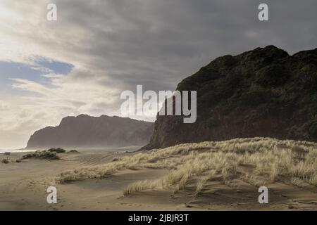 La plage de sable noir de Karekare, en Nouvelle-Zélande, sous un ciel sombre. Un arbre de lumière du soleil illumine les herbes des dunes Banque D'Images