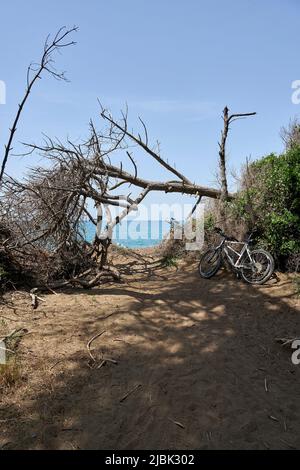 Marina di Cecina (Pi), Italie, un accès à la plage Banque D'Images