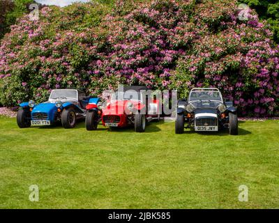 Trois voitures classiques Caterham devant un buisson Rhododendron à fleurs Banque D'Images